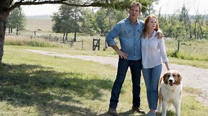 ((A Dog's Journey 2019)) #HD_1080p - FULLMOVIE