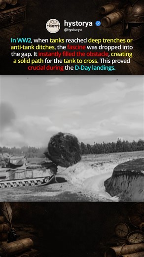 Fast Track ⏩ #ww2 #shorts