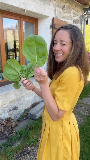 COOKING TRULY WITH SEASONAL PRODUCE (without stressing out) 🥬