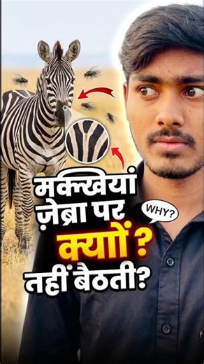 Why Flies Avoid Zebras? 🦓 Amazing Fact #shorts