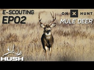HOW TO E-SCOUT FOR MULE DEER WITH ONXHUNT