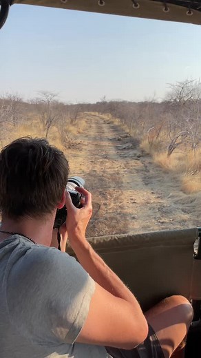 Snoozy lions at Ongava Game Reserve #namibia #thisisnamibia #travelnamibia