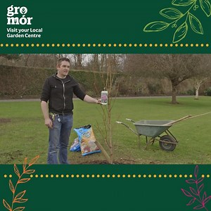 Autumn is a great time to start planting bare root trees. 🌳 For expert advice on how to plant trees, visit your local GroMór garden centre: https://bit.ly/3irI0vY | GroMor