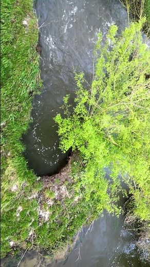 What are Oxbow Lakes? #shorts