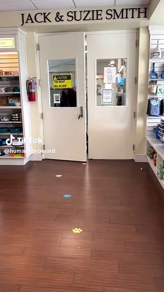 Sam was adopted!! ❤️☺️ Our shelter’s oldest resident, who had been overlooked for months, has finally found his forever home… and he has a new fur-brother!! 💞🐶 Sam is so happy to be a part of a loving family now ❤️ Thank you to his family for adopting a senior! 🙏 We still have many wonderful pets looking for forever homes, including Tina, Sheena and Zion 🥺 If you can’t adopt, please share our posts and consider donating to our shelter through the link in our bio 🙏 Your generous donations al