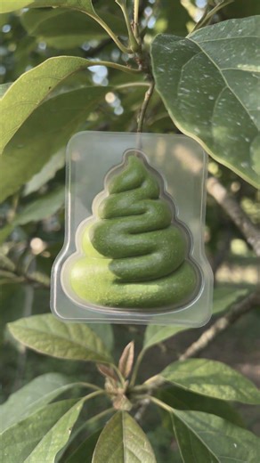 I Grew a Poop-Shaped Avocado in a Tiny Mold