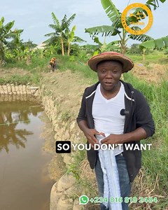 Ultimate snake-proof pond net installation: safeguarding your pond from unwanted visitors! | Yinyegha Gbefaye Tiki