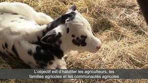 1.9K views · 14 reactions | March 10-16 is Canadian Agricultural Safety Week. Farm safety is crucial to observe everyday. By planning and taking simple measures, we can lessen serious injuries that can have devastating and event fatal results. | Government of New Brunswick | Facebook