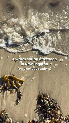 The warm weather in New England has been so nice lately #collegelife #newengland