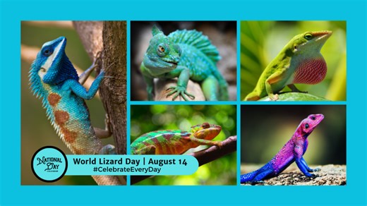 WORLD LIZARD DAY - August 14