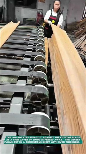 Peeling Wood Veneer from Logs – Satisfying jobs and machinery in the world