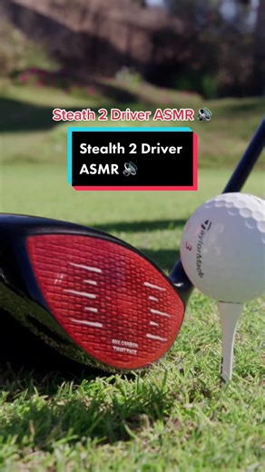 Stealth 2 Driver ASMR Sounds with Fargiveness