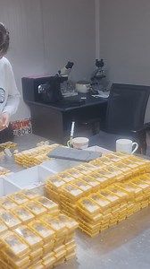 Matci albine in stoc! Livrare 24 de ore! Toate tipurile disponibile! Pentru detalii apasati butonul "Cumpara"! Deasemenea puteti plasa comanda la tel si WhatsApp 0748 068 068. | Apis Donau 1905