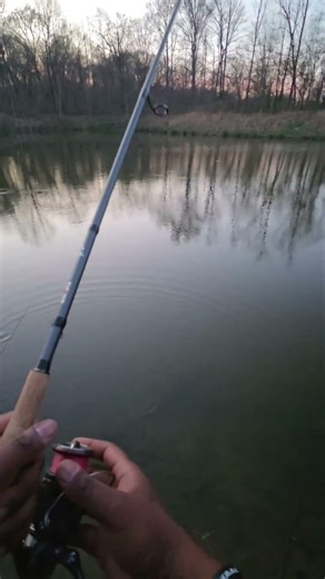 Fighting #fishing #fish #youtubeshorts #shorts #viral #video #foryou #fyp #subscribe #op #fun #how