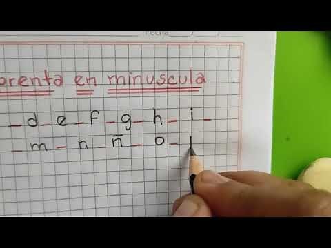 Caligrafía : Letra imprenta en minúscula