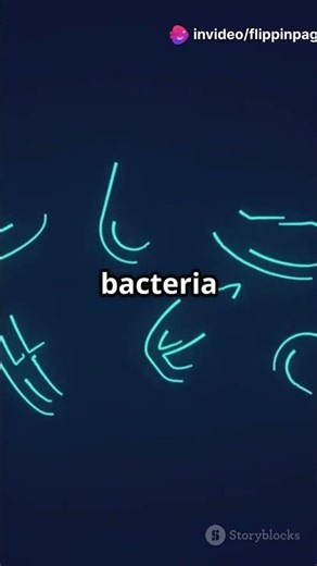 Antibiotic Resistance: A Crisis We Must Solve!