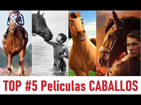 Las mejores 5 Películas de Caballos. Los mejores films de caballos. Caballos famosos y fantásticos.