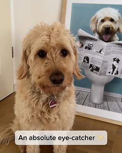 6.1K reactions · 286 shares | Do you love your dog?  Now you can honour your furry friend on a poster!  Step 1: Upload your own image  Step 2: Check the LIVE preview  Step 3: Your poster will be shipped in 3-5 days  Design now  pet-printed.com/poster2 | Pet Printed | Facebook
