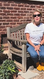 1.1K views · 39 reactions | A Gardenia built for tall & narrow spaces?  Sign us up! Diamond Spire Gardenia grows 3-4’H x 2’W making it perfect for those hard to plant spots in full sun to partial shade ️ Get your hands on one today! | Southern Living Plant Collection | Facebook