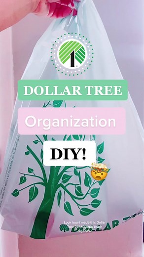 Dollar Tree DIY Makeup Brush Organizer