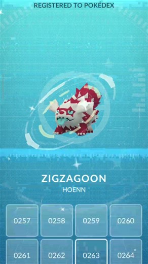 I got the shiny zigzagoon Pokemon 😱😱 #pokemon #garchomp #gaming #shinypokemon #pokemongo #shorts