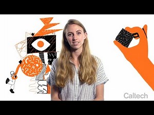 The Caltech Effect: The Big Picture