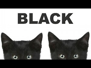 The colors! Learn the colors. BLACK!