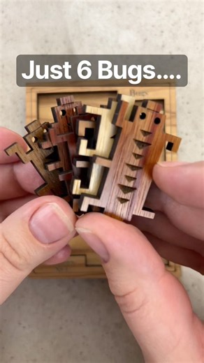 This wooden bug puzzle is harder than it looks! #satisfying #puzzlesolving