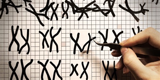 Path to precision: Targeted cancer drugs go from table to trials to bedside