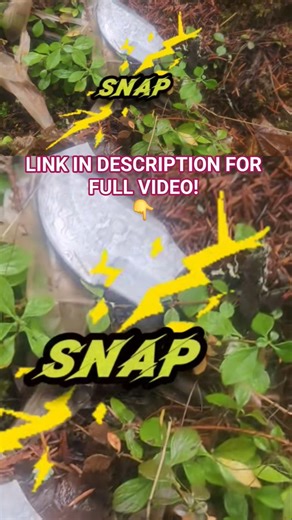 Best, cheapest Tracker Knife!