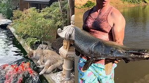 Master Fishing Techniques For Precision And Success