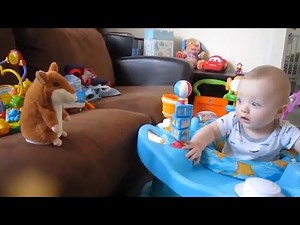 Talking Hamster Plush Toy - Hot Cute Speak Talking Sound Record Toy