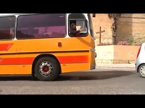 Maltese bus driver argument