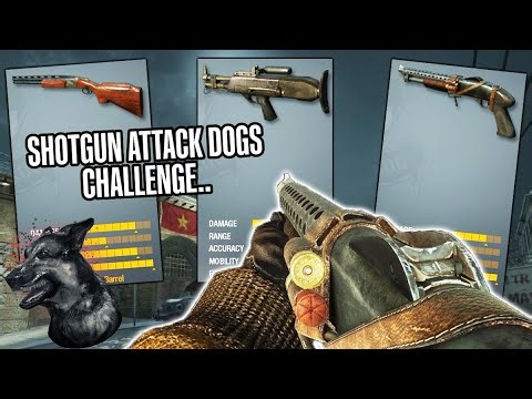 Can I Get DOGS With EVERY Shotgun In Black Ops 1..?