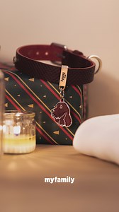 🎁 Looking for the perfect gift for your beloved ones? The Friends ID tags collection is the answer! For your furry friend or for pet lovers, choose from over 100 breeds and personalize them for free with an engraving. | MyFamily
