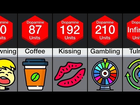 🔥 ❤️Comparison : Human Pleasure | 💫 “Human Pleasure Explained | Mind vs Body” | Insight Compare