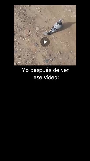 Explorando el mundo del terror y el gore en Twitter