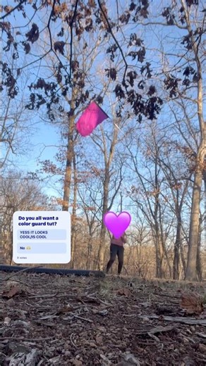 Color Guard Tut? #color #colorguard #guard #flagcore #flag #furry #fypシ #otherpaw #art