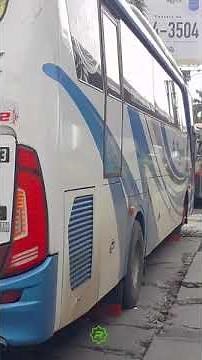 viral konvoi 4 unit bus oleng di jalan berlubang