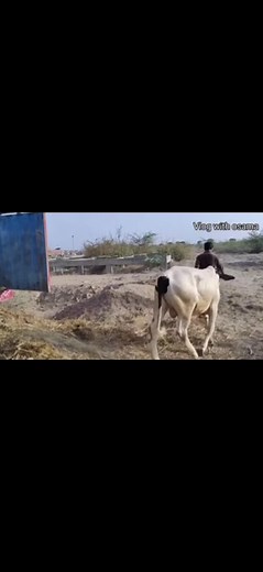 Usman khan 11 on TikTok