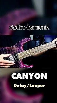 EHX Canyon Delay & Looper Pedal Demo