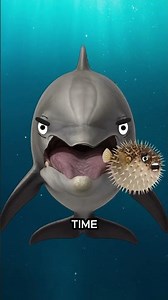 Dolphins are evil...well. sometimes... SUBSCRIBE