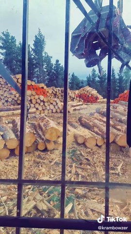 Hack em and Stack em 💪 #nzlogger #forestry #nzforestry #logger #loggin #waratah #stacks #somebody #nobody #fyp #foryou #foryoupage