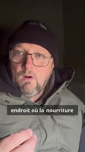 Le secret de la survie des poissons sous la glace ! 🥶🐟