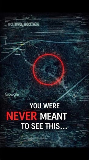 I Zoomed In on Google Maps… I Regret It 😨📍