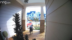 When you realize you're missing a few slices and then check your Ring... 🍕 | Ring