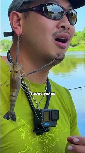 the Philippines' GIANT Freshwater Shrimp! 🇵🇭