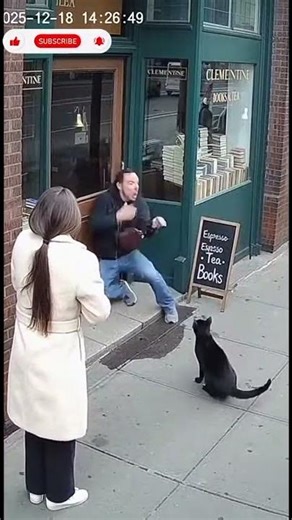 “Thief Tumbles After Ferocious Feline Attack in Raw CCTV Footage”