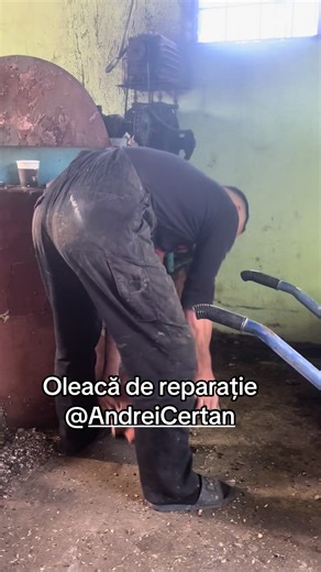 Olga Certan (@olga.certan)’s videos with оригинальный звук - Olga Certan