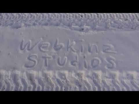 Webkinz Studios Closing Logo (2025; Christmas Variant)